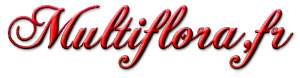 multiflora